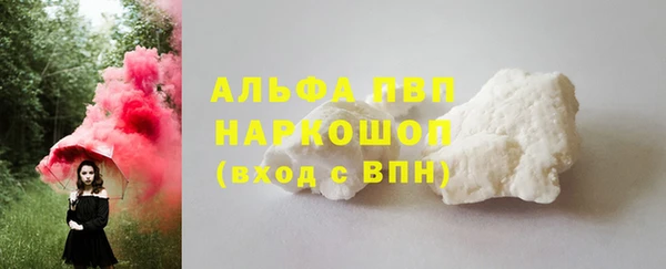 СК Надым