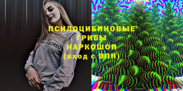 СК Надым