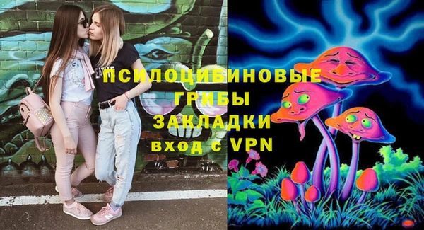 прущие грибы Бердск