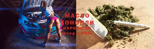 прущие грибы Бердск