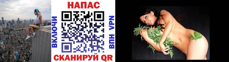 Конопля Bruce Banner Бабушкин